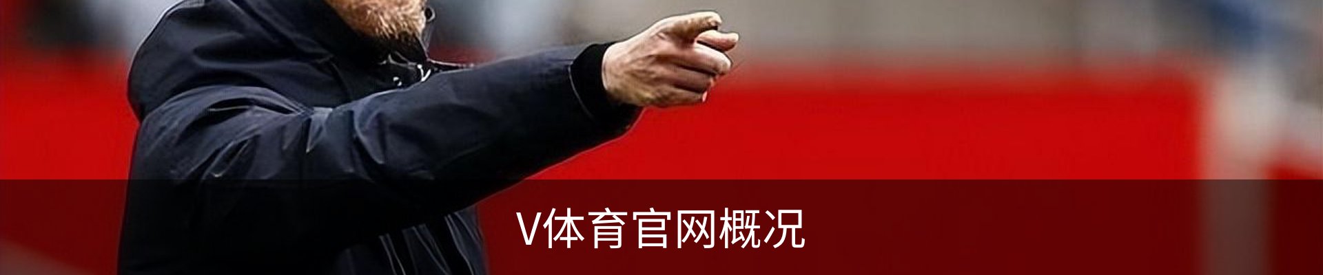 V体育官网概况
